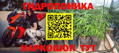кокс Сланцы