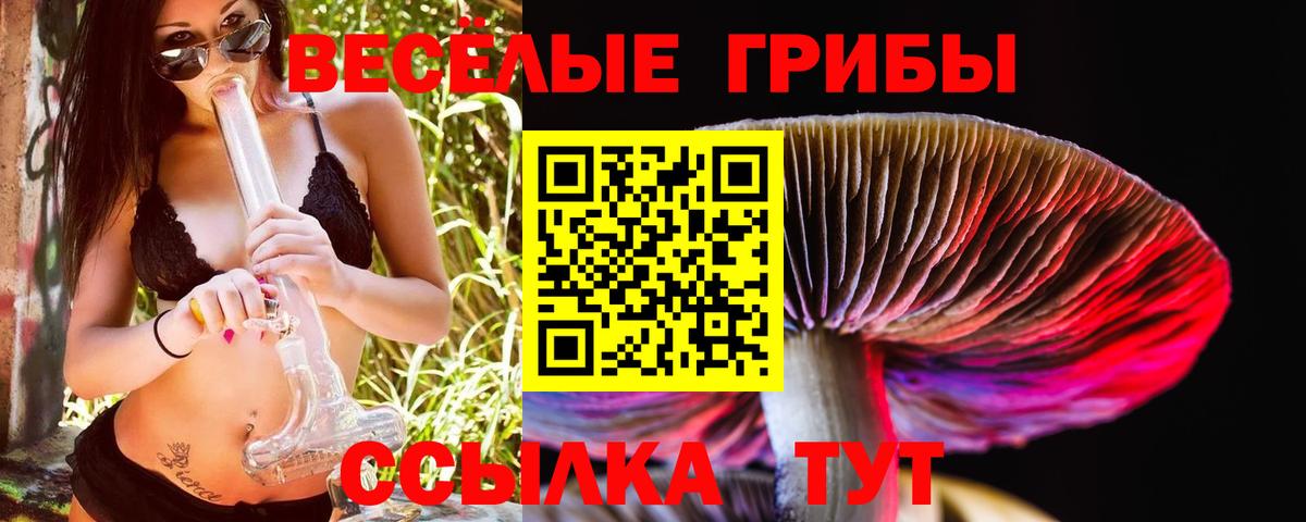Прохладный  Псилоцибиновые грибы MAGIC MUSHROOMS  где найти   Вход с VPN 